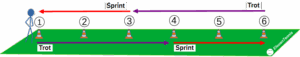 wpf-cross-image