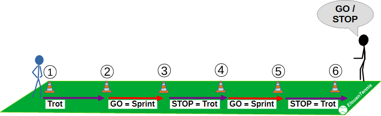 320 Exercice physique phases de trot et de sprint variés et dynamiques
